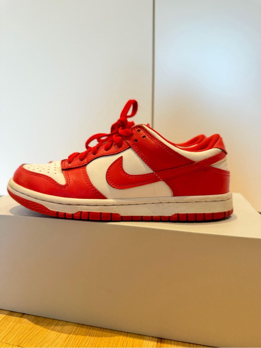 Nike Dunk Low